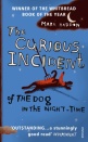 01 The curious incident of the dog in the night-time